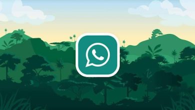 whatsapp 1